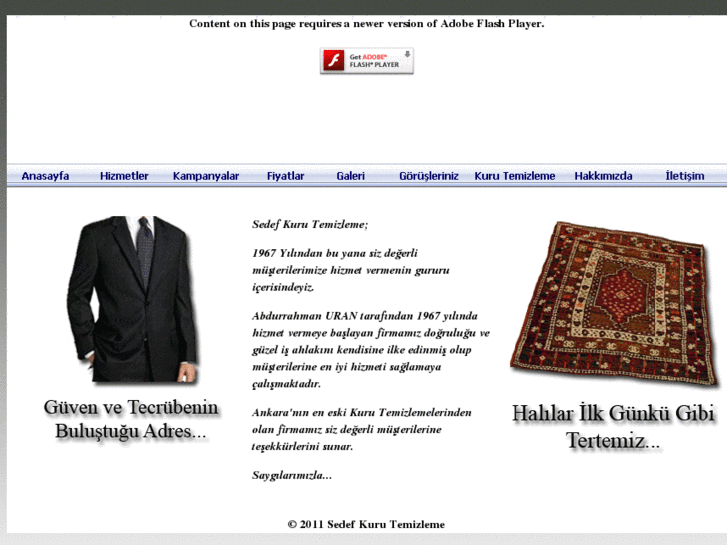 www.sedefkurutemizleme.com