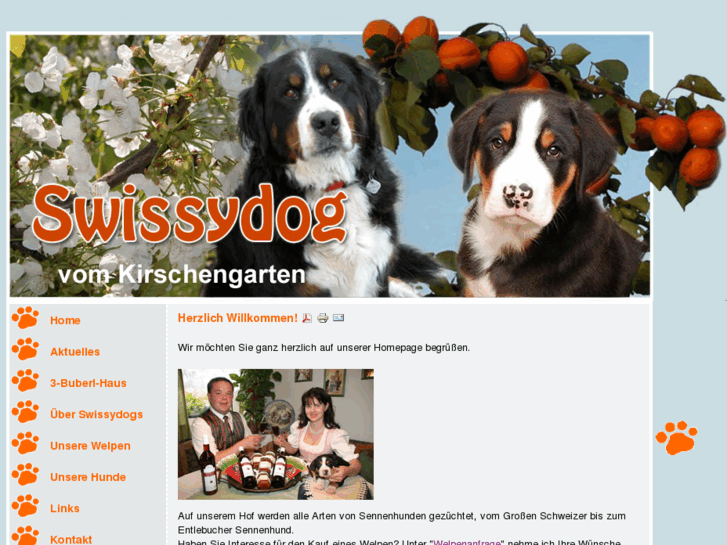 www.swissydog.info