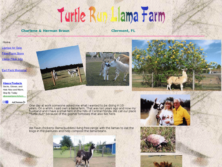 www.turtlerunllamas.com