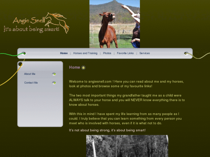 www.angiesnell.com