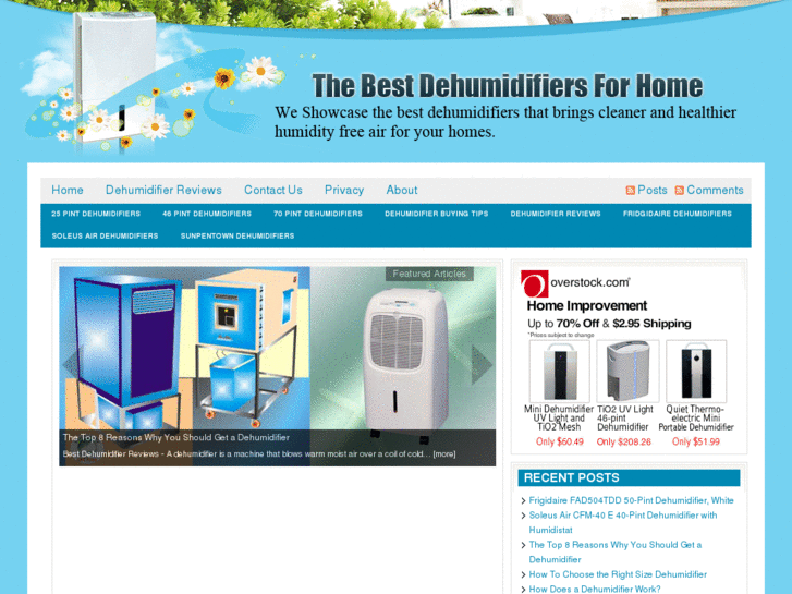 www.bestdehumidifiersforhome.info