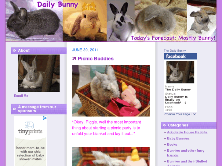 www.bunnyyawns.com