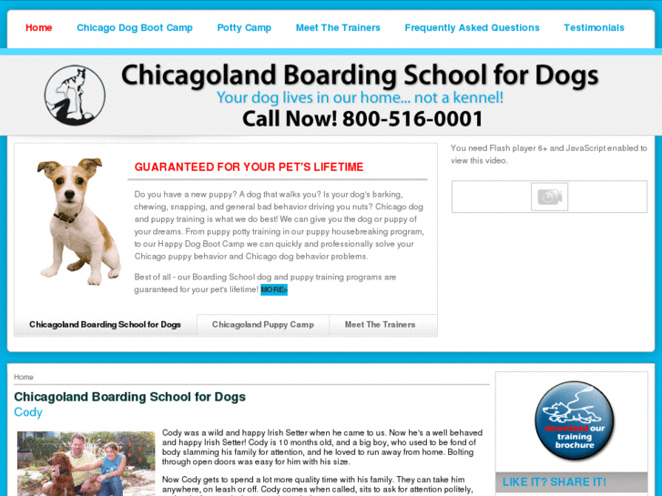 www.dogtraininginchicago.com