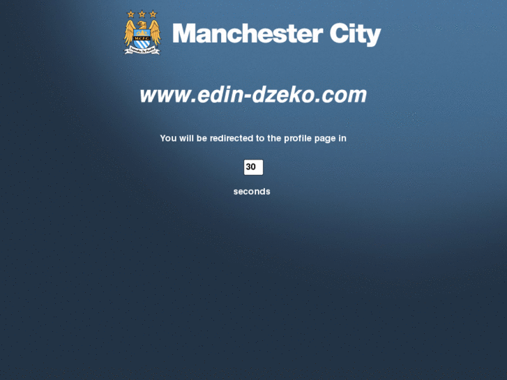 www.edin-dzeko.com