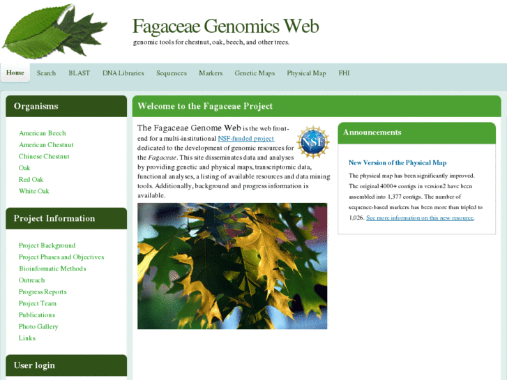 www.fagaceae.org