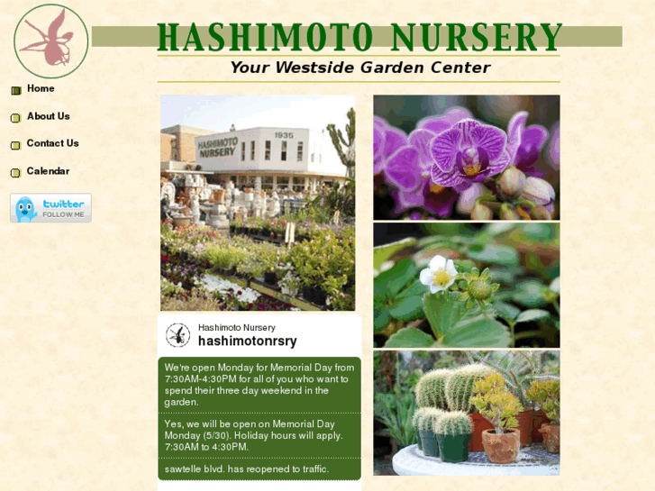 www.hashimotonursery.com