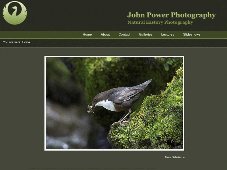 www.johnpower-birdphotography.co.uk