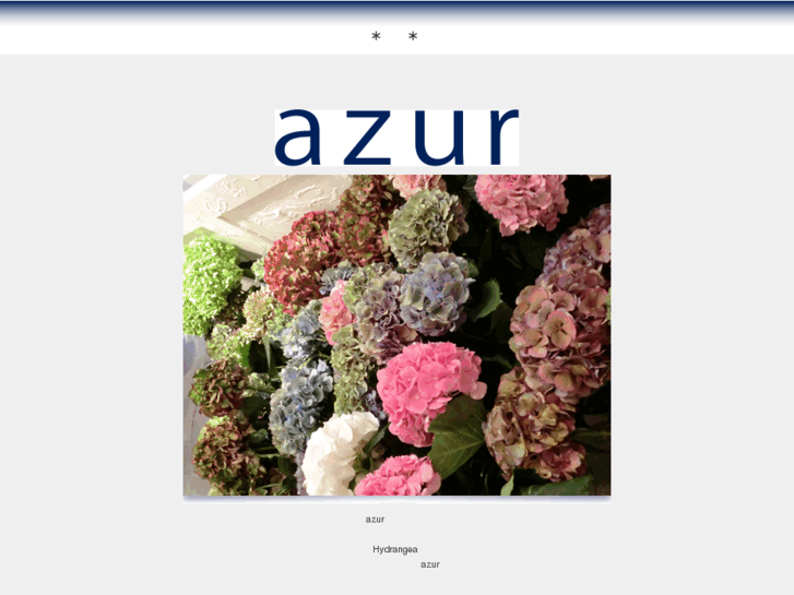 www.azur-kyoto.com