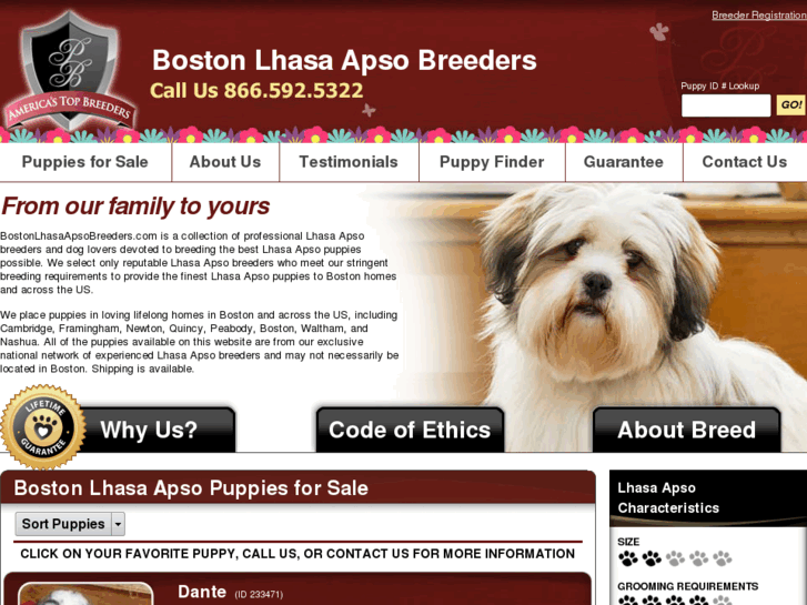 www.bostonlhasaapsobreeders.com