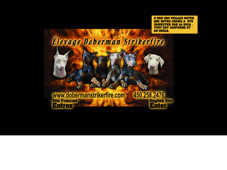 www.dobermanstrikerfire.org