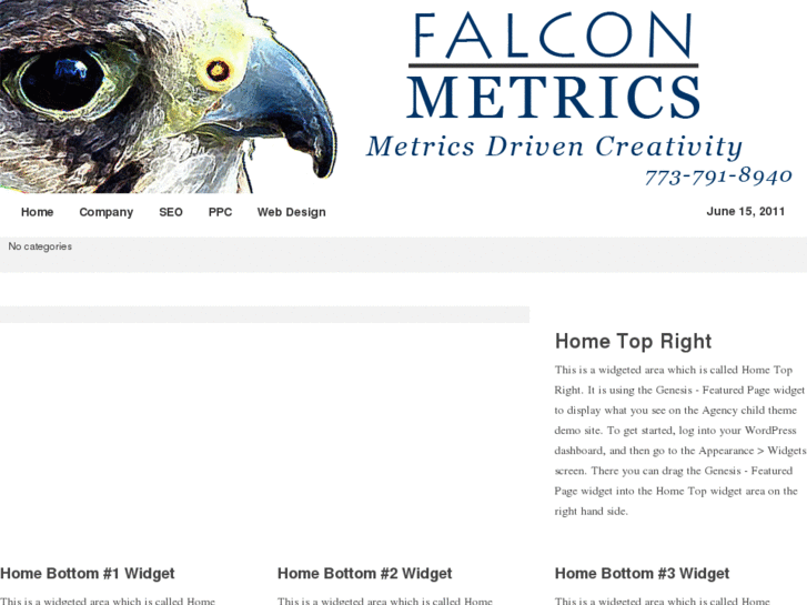 www.falconmetrics.com