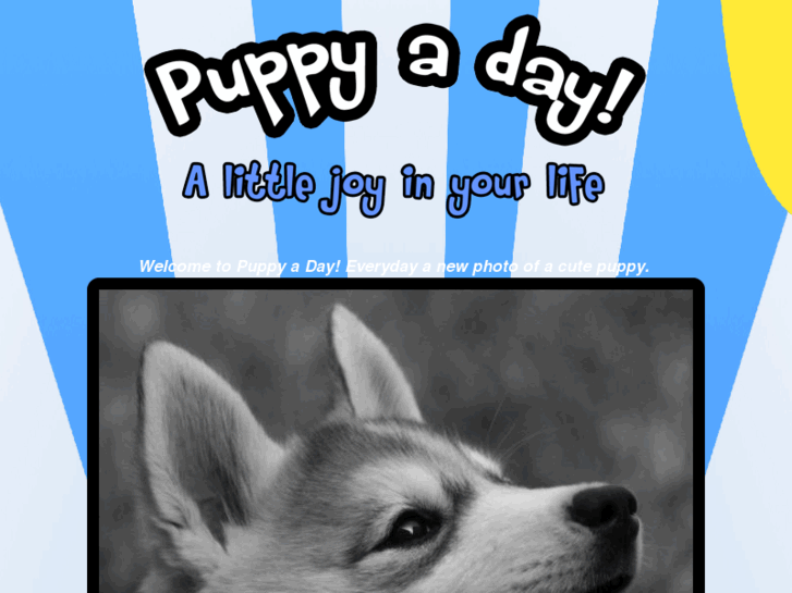 www.puppy-a-day.com