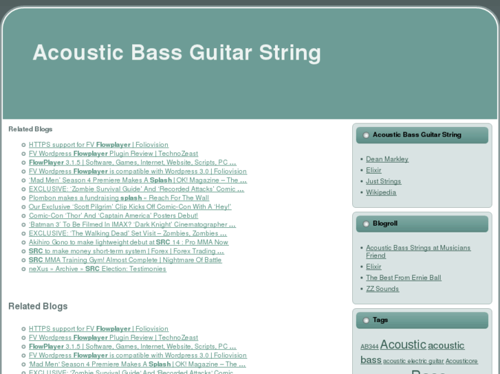 www.acousticbassguitarstring.com