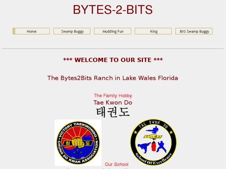 www.bytes2bits.com