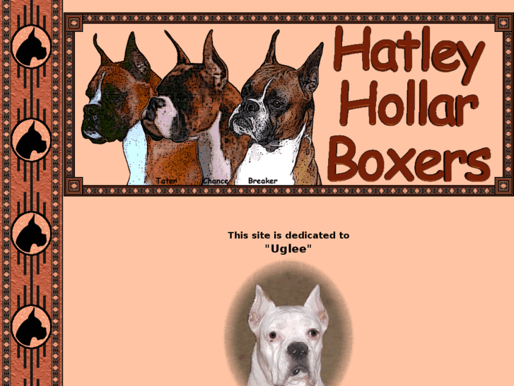 www.hatleyhollarboxers.com