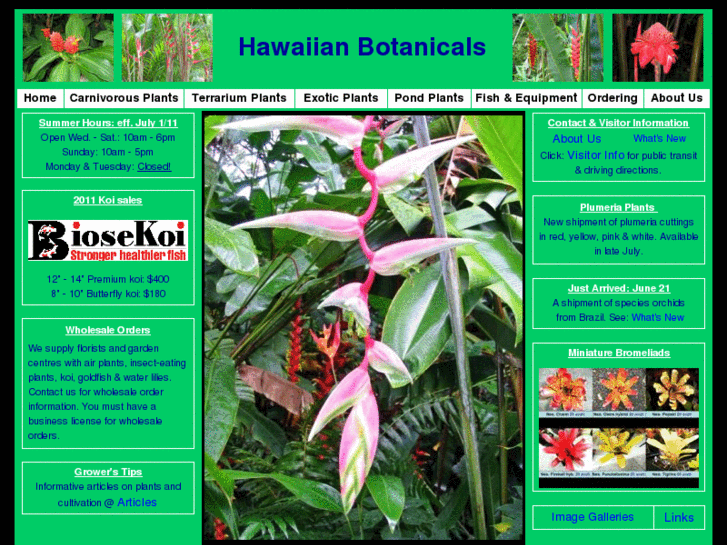 www.hawaiianbotanicals.com