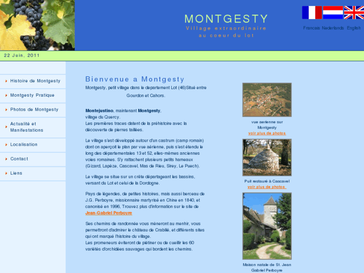 www.montgesty.com