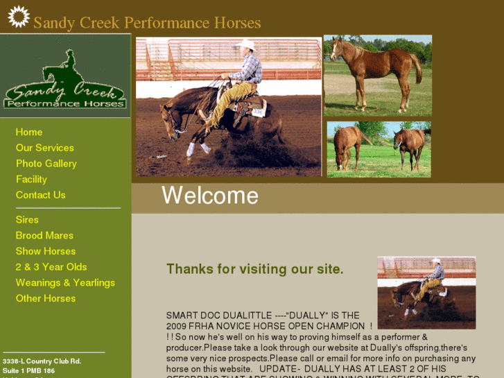 www.sandycreekperformancehorses.com