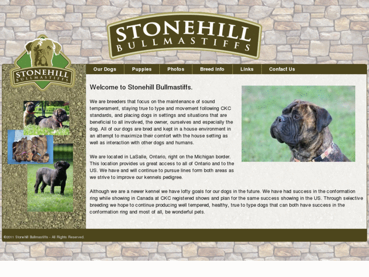 www.stonehillbullmastiffs.com