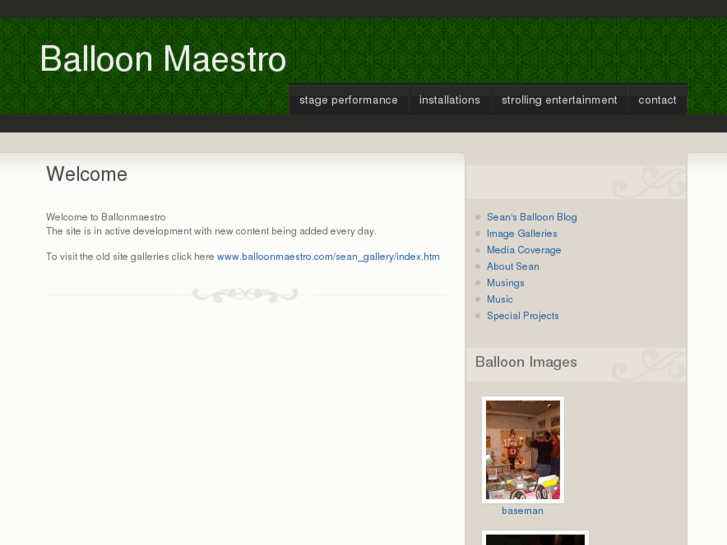 www.balloonmaestro.com