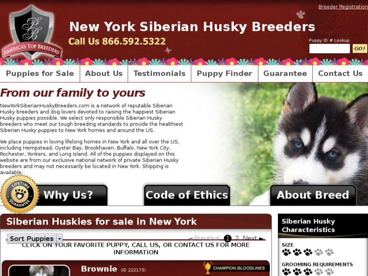 www.newyorksiberianhuskybreeders.com