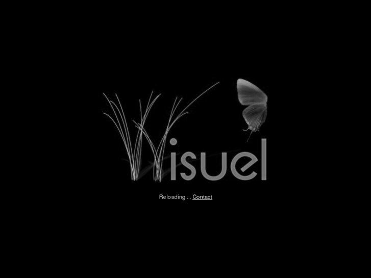 www.wisuel.com