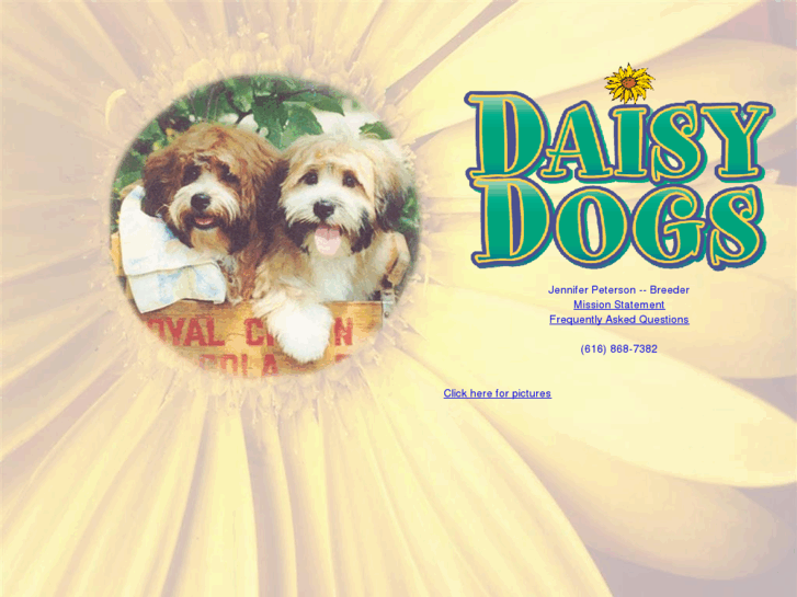 www.daisydogs.com