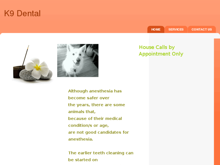 www.k9dental.net