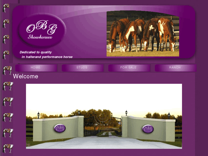 www.obgshowhorses.com