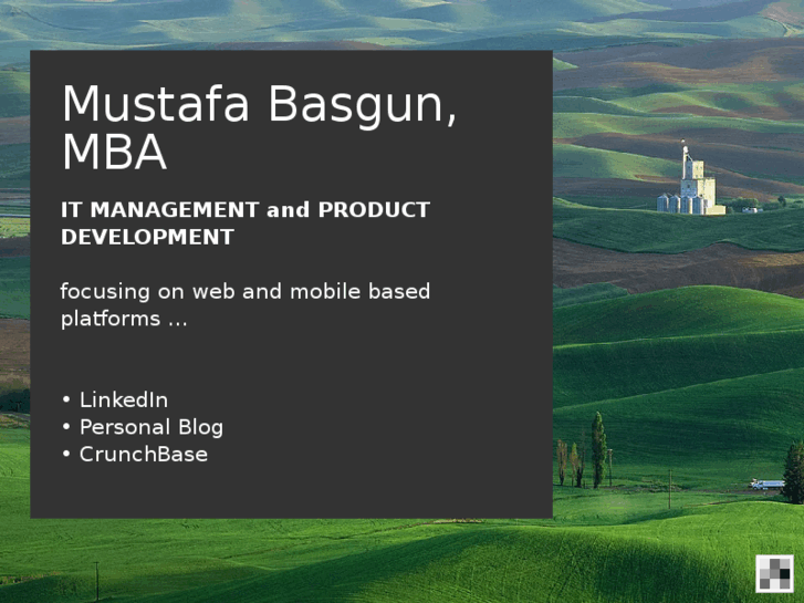 www.basgun.com