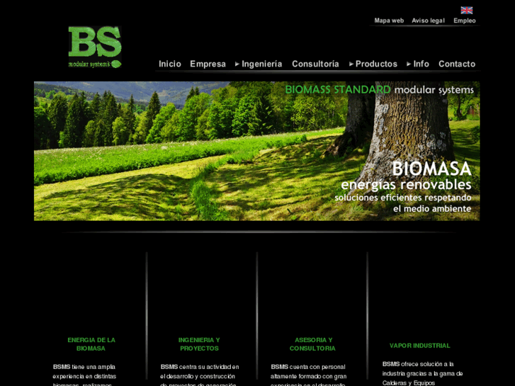 www.bsms-energy.com