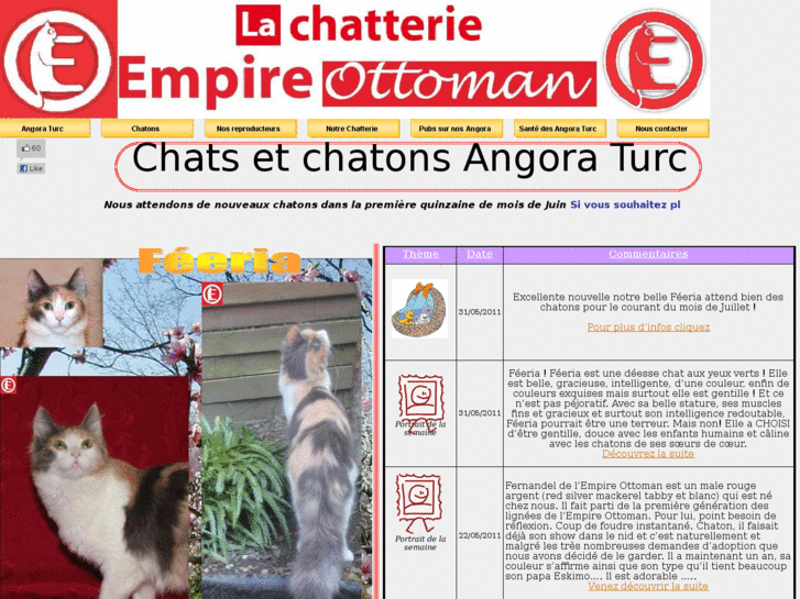 www.chat-angora-turc.com