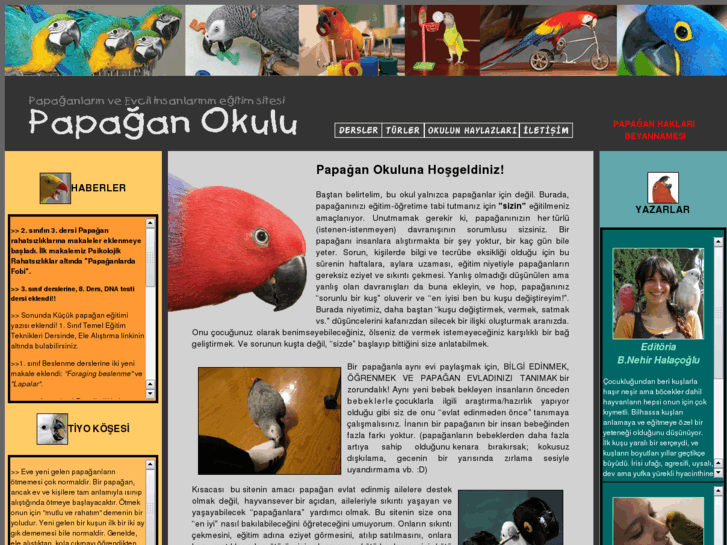 www.papaganokulu.org