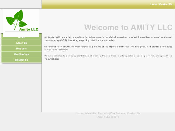 www.amityllc.com