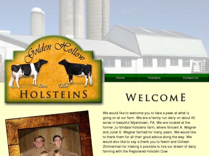 www.goldenhollowholsteins.com