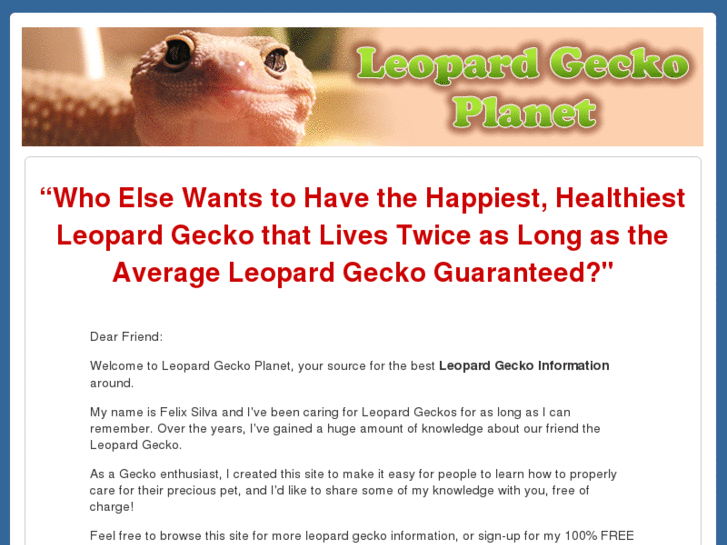 www.leopardgeckoplanet.com