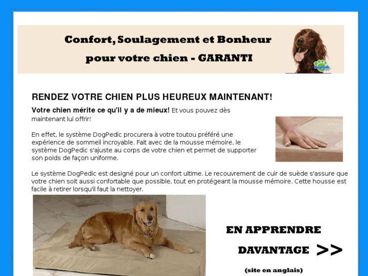 www.litdechien.com