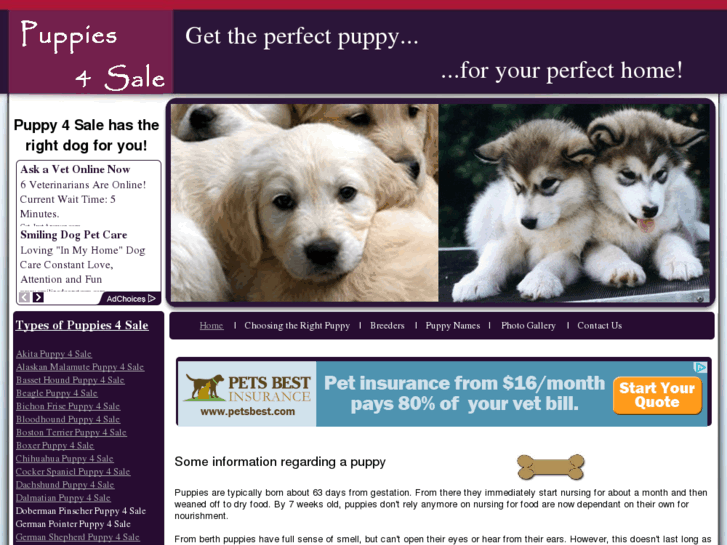 www.puppy-4-sale.net