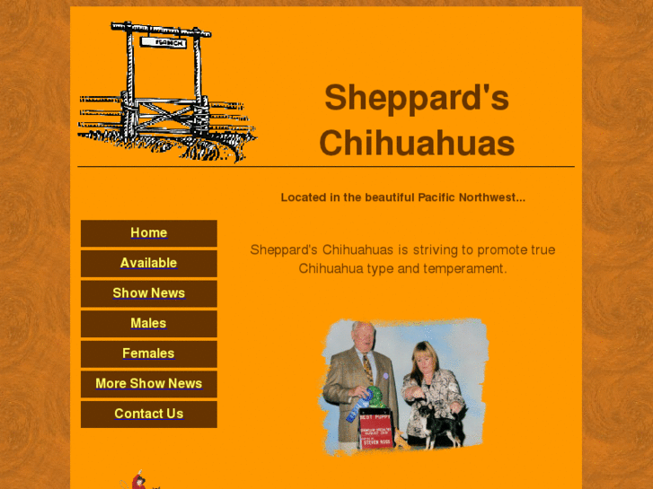 www.sheppardschihuahuas.com