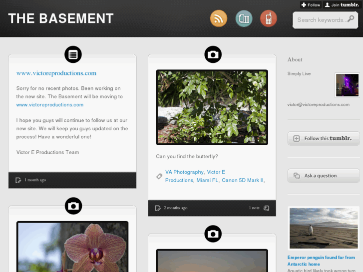 www.thebasement.me