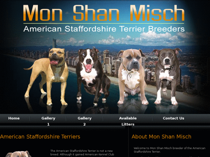 www.americanstaffys.com.au