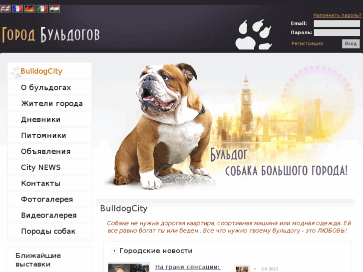 www.bulldogcity.ru