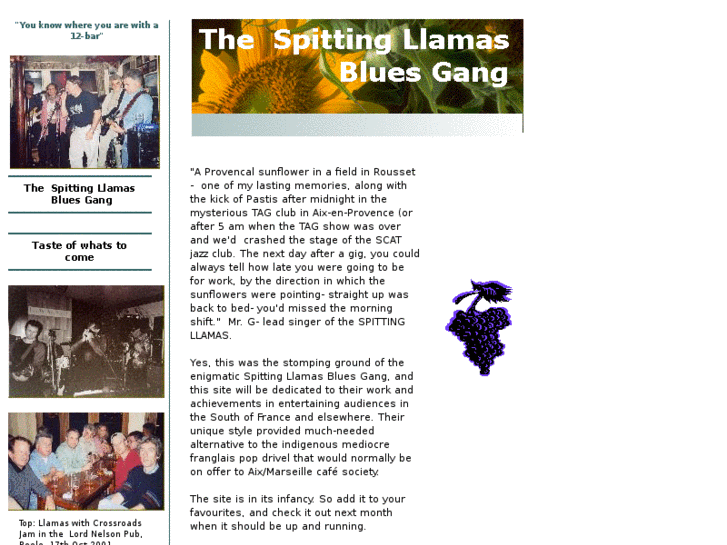 www.spittingllamas.co.uk