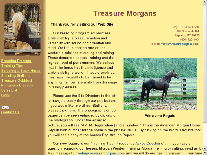 www.treasuremorgans.com