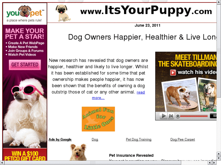 www.itsyourpuppy.com