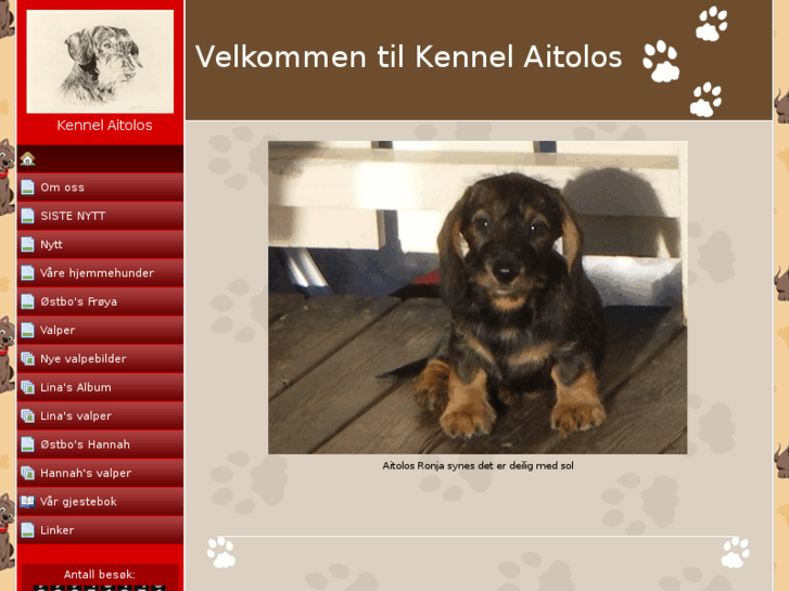 www.kennel-aitolos.net