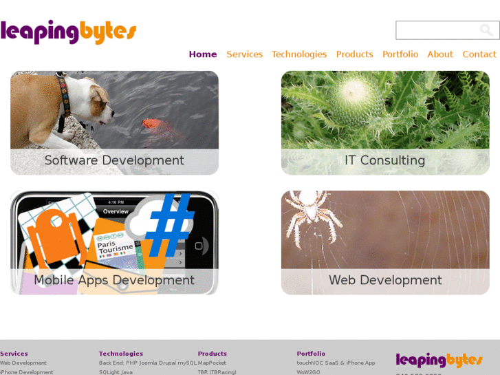 www.leapingbytes.com