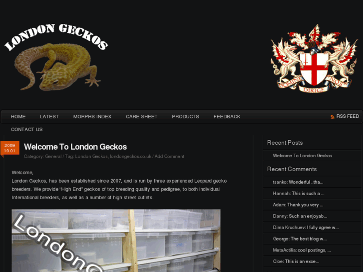 www.londongeckos.com