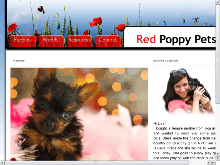 www.redpoppypets.com