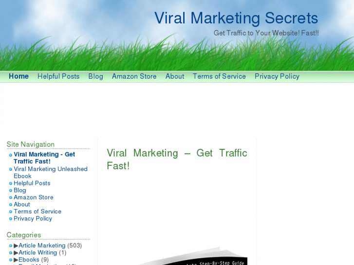 www.secretsofviralmarketing.com
